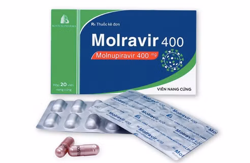 Publican precios de medicamentos Molnupiravir contra el COVID-19 producidos en Vietnam ảnh 1