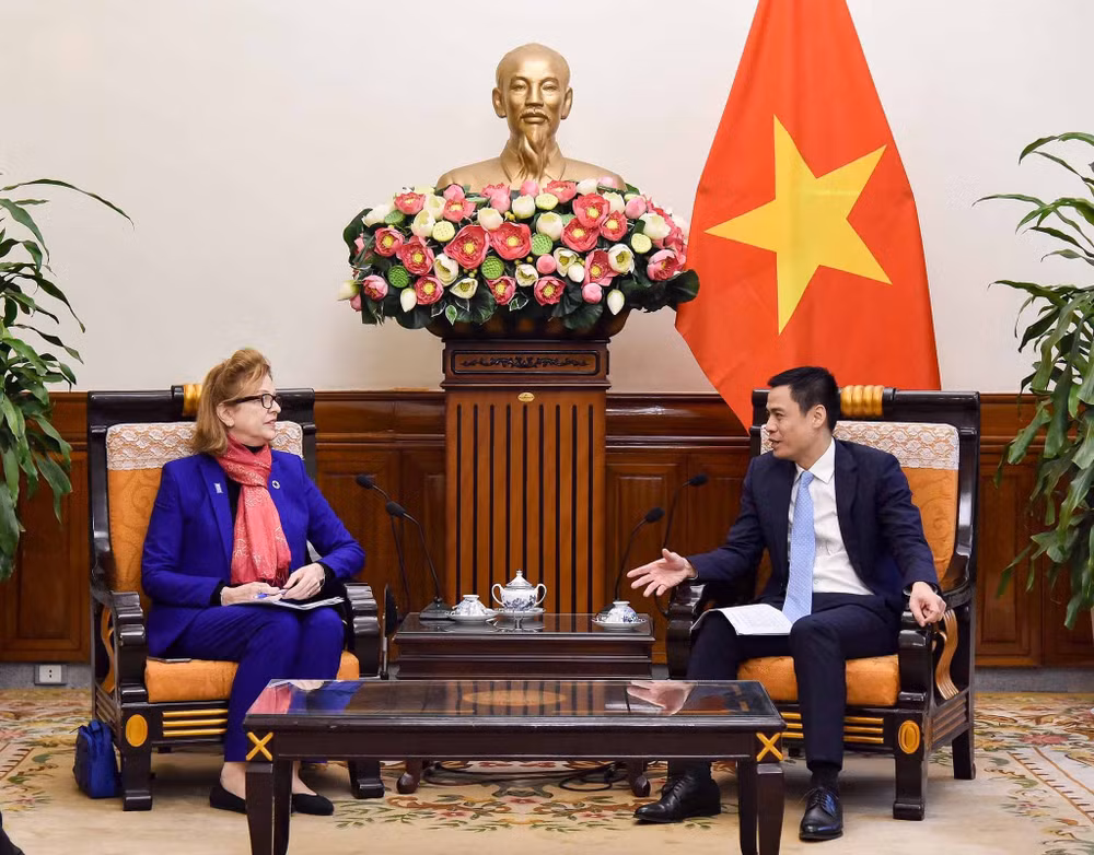 Vietnam busca fortalecer cooperación con órganos de la ONU ảnh 2