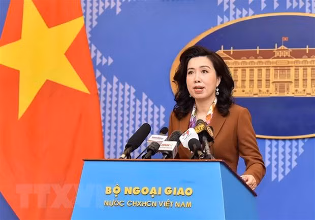 Vietnam se esmera en proteger los derechos legítimos de los coterráneos en ultramar ảnh 1