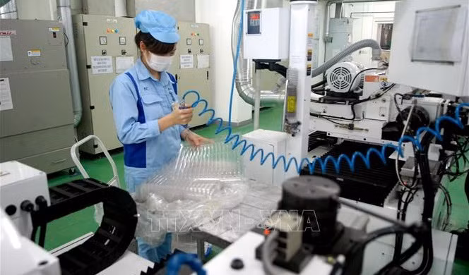 Desarrollo económico verde: un factor importante para atraer la inversión extranjera en Vietnam ảnh 1