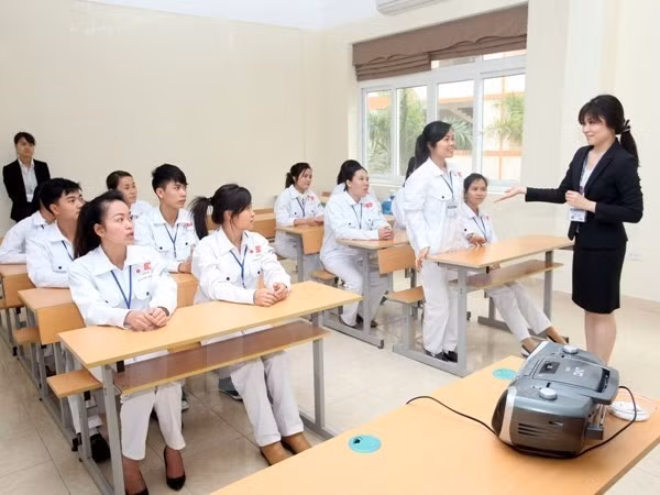 Vietnam busca mejorar la calidad de sus trabajadores en el extranjero ảnh 1