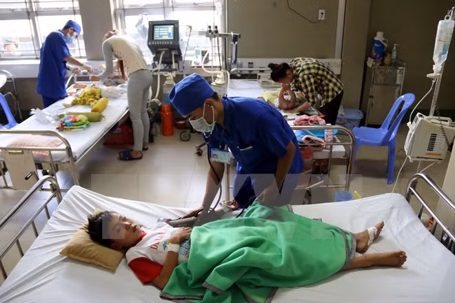 Celebran Sexta Conferencia de Pediatría Vietnam – Estados Unidos ảnh 1