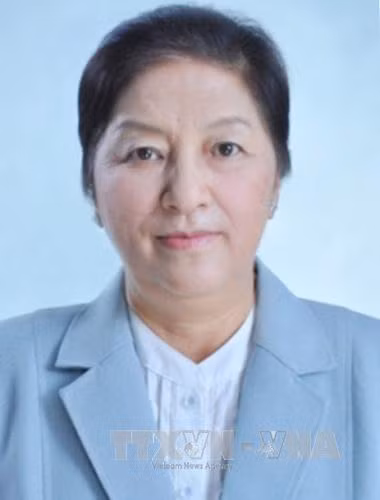 Presidenta de Asamblea Nacional de Laos inicia visita a Vietnam ảnh 1