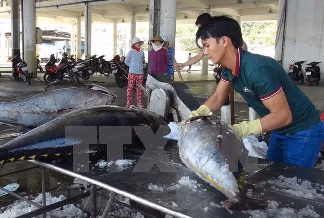 Vietnam invierte en reestructuración del sector acuícola ảnh 1