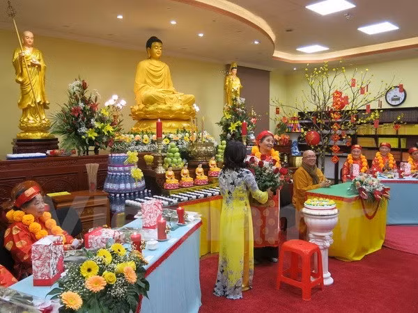 Provincia vietnamita acogerá el Día Cultural del Budismo de India ảnh 1