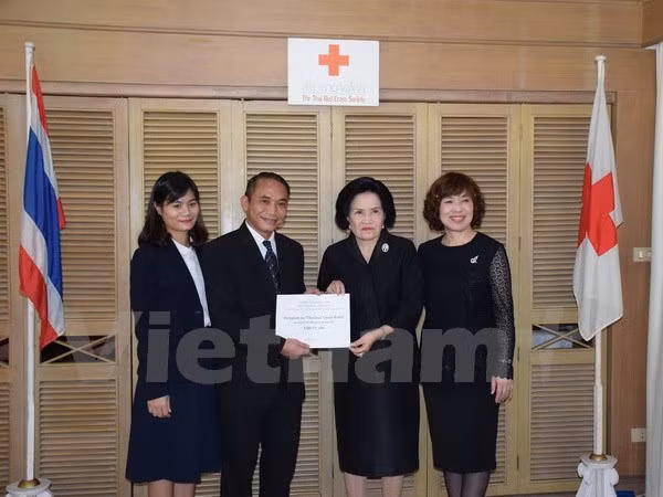 Ejército tailandés y fuerzas rebeldes acordaron construir “zona segura” ảnh 1