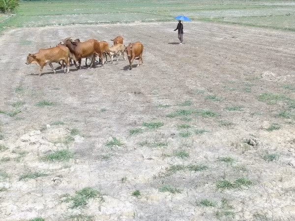 Premier inspecciona modelo de tratamiento de residuos “hecho en Vietnam” ảnh 1