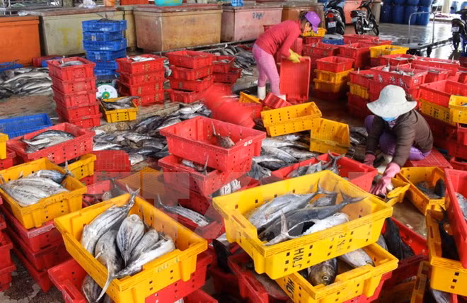 En alza producción acuícola de Vietnam en primer trimestre de 2017 ảnh 1
