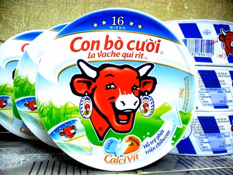 Inauguran segunda fábrica de queso de grupo francés Bel en Vietnam ảnh 1
