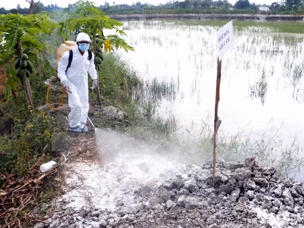 Vietnam se blinda ante la propagación de gripe aviar en países vecinos ảnh 1