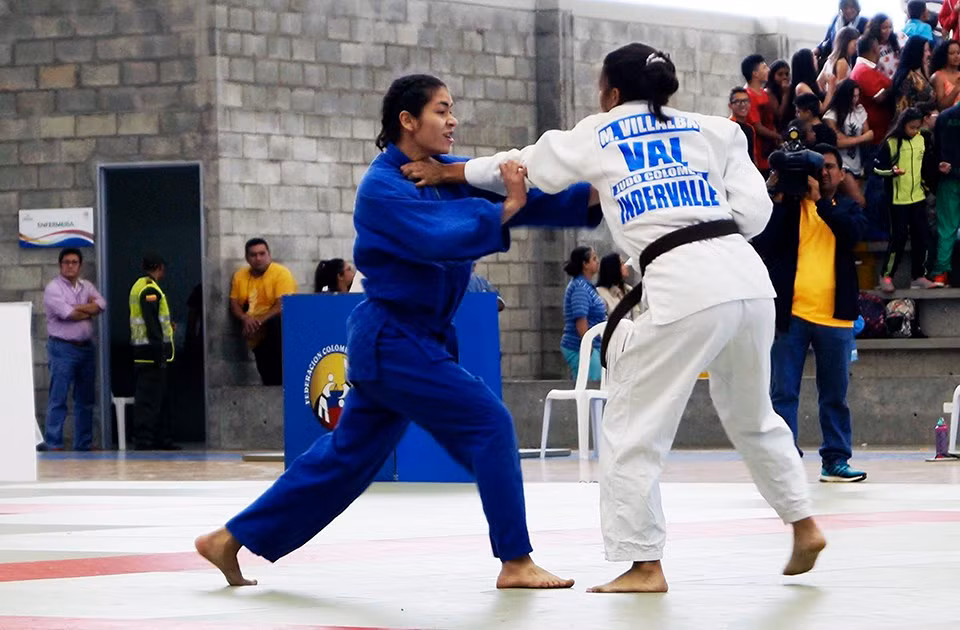 Judocas vietnamitas ganan tres oros en torneo en Hong Kong ảnh 1