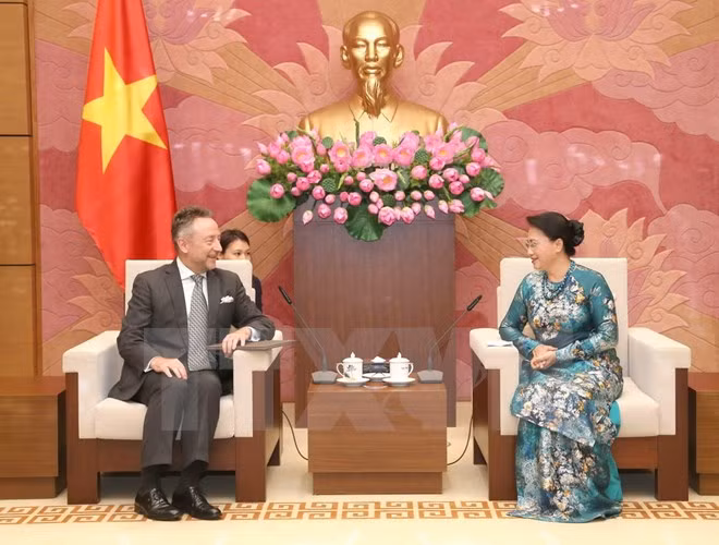 República Checa: prioridad de Vietnam en nexos con Europa Central y Oriental ảnh 1