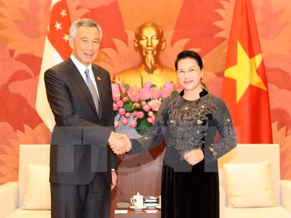 Sugieren establecer grupo de parlamentarios de amistad Singapur-Vietnam ảnh 1