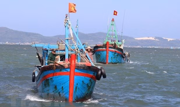 Vietnam refuerza lucha contra pesca ilegal, no declarada y no reglamentada ảnh 1