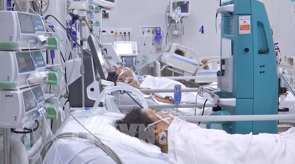 Vietnam confirma más de tres mil 600 mil nuevos casos de COVID-19 ảnh 1