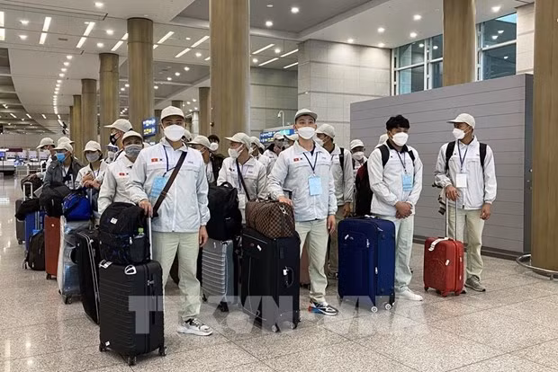 Japón reforzará inspección de sindicatos que emplean a trabajadores vietnamitas ảnh 1
