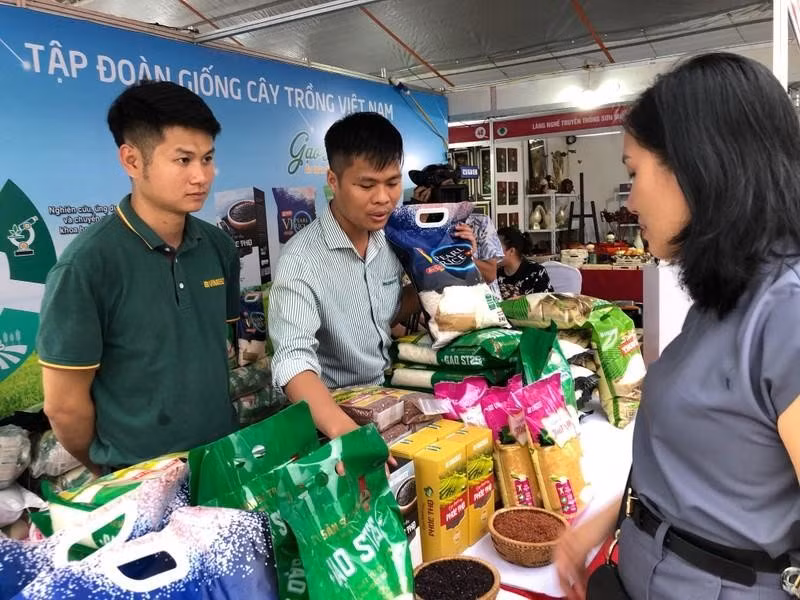 Lanzan en Hanoi Semana de Productos nacionales ảnh 1 Lanzan en Hanoi Semana de Productos nacionales ảnh 1