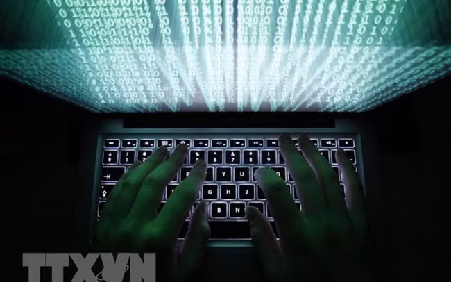 Casi tres mil direcciones IP en Vietnam vinculadas con fuga de datos ảnh 1