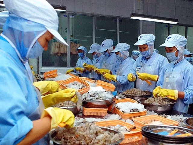 Vietnam y Emiratos Árabes Unidos promueven intercambio comercial ảnh 2