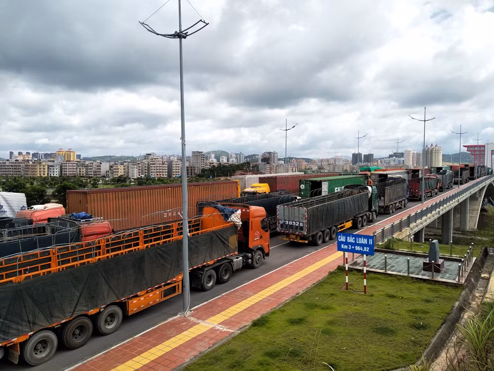 Provincia vietnamita se esfuerza por recuperación de exportación e importación ảnh 2