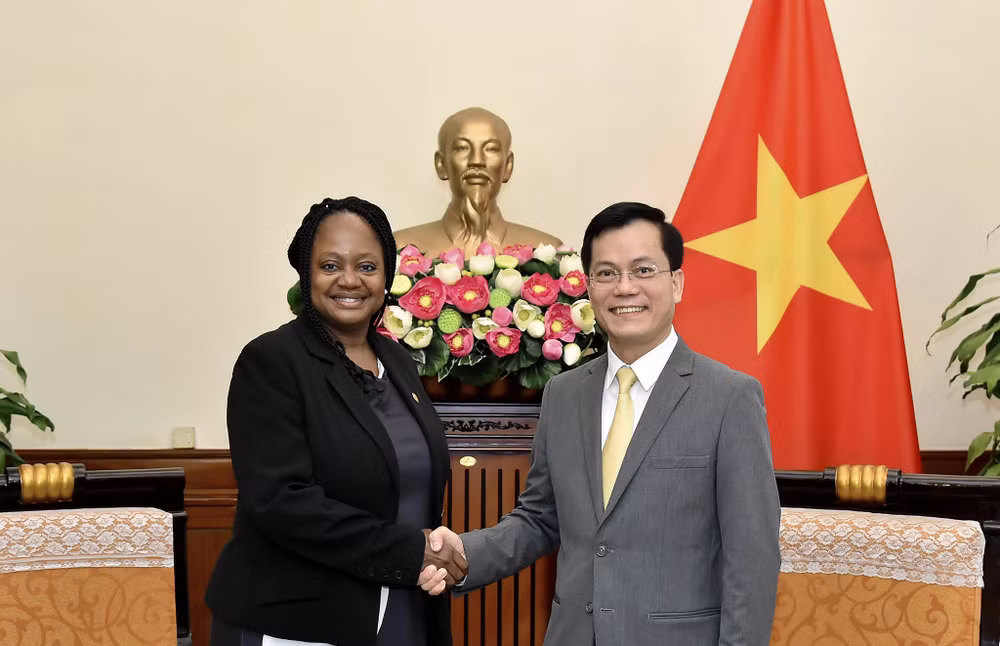 Vietnam dispuesto a profundizar la asociación integral con Estados Unidos ảnh 1