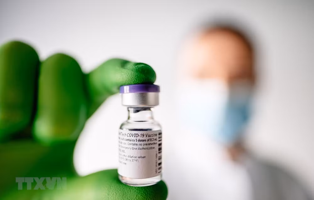 Singapur aprueba vacuna de Pfizer para niños de 6 meses a 4 años ảnh 1