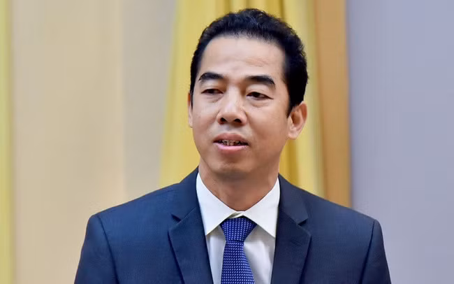 Expulsan de las filas partidistas al vicecanciller de Vietnam ảnh 1