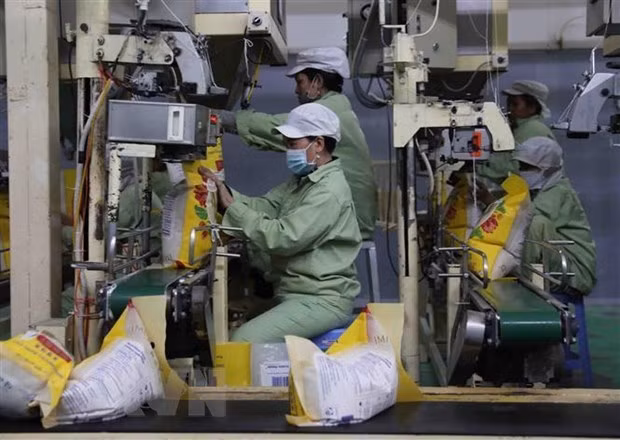 Argelia aspira a impulsar la cooperación económica y comercial con Vietnam ảnh 1