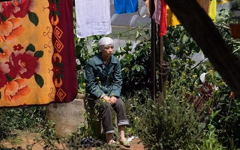 Vietnam participará en Festival Internacional de Cine de Busán 2022 ảnh 1