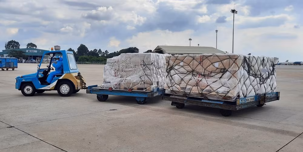 Recibe Vietnam otros 203 mil kits de prueba rápida de COVID-19 de Alemania ảnh 2