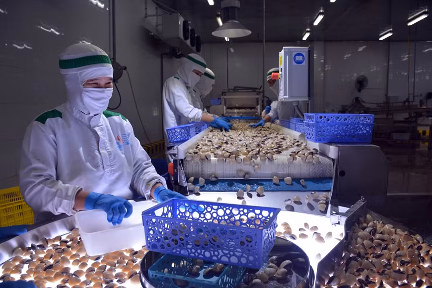 Crecen en exportaciones acuícolas de Vietnam a pesar de los impactos del COVID-19 ảnh 1