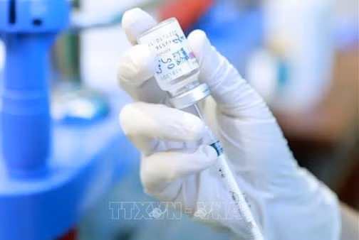 COVID-19: Cinco mil 149 nuevos casos en Vietnam ảnh 1
