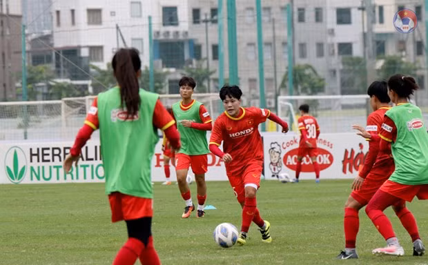Vietnam competirá en septiembre en ronda eliminatoria de Copa Asiática femenina de fútbol 2022 ảnh 1