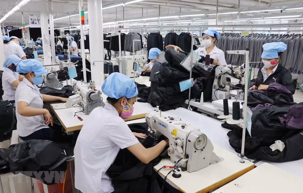 Exportaciones vietnamitas se benefician de Tratados de Libre Comercio ảnh 1