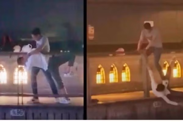 Identifican a vietnamita brutalmente asesinado en Japón ảnh 1