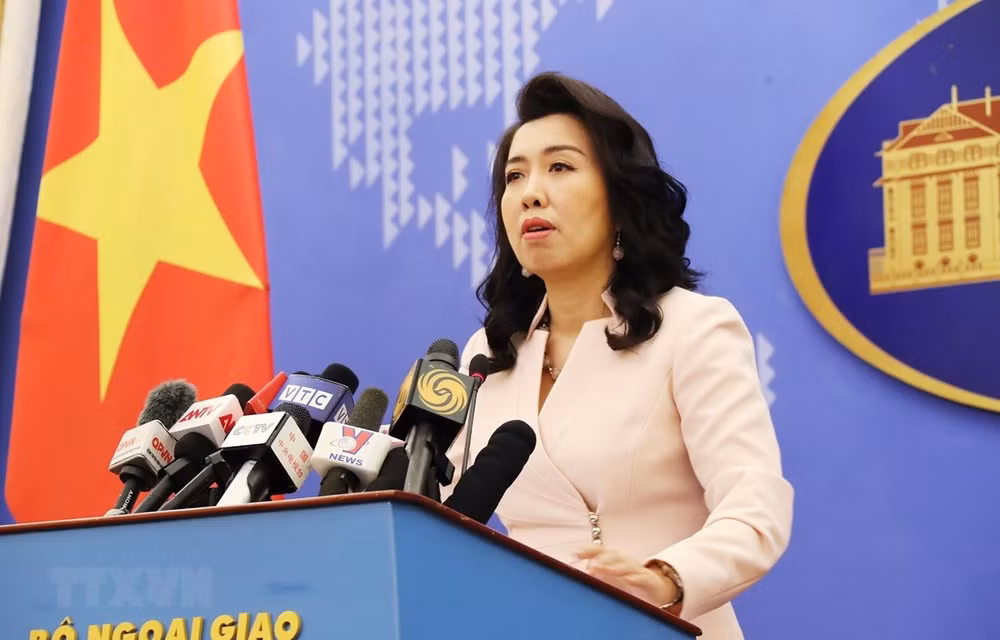 Realizan representaciones diplomáticas de Vietnam en Japón la protección ciudadana ảnh 1