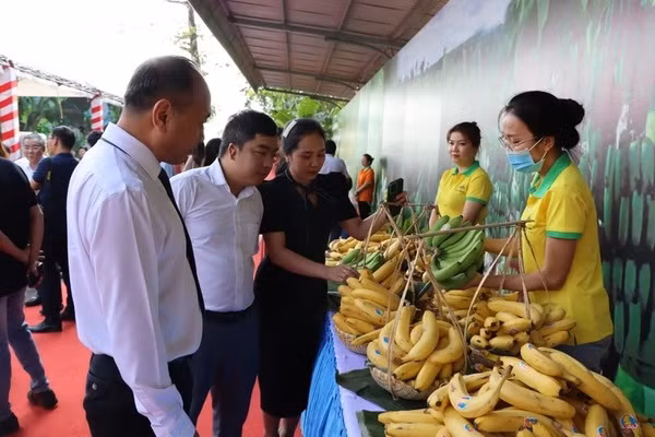 Vietnam cuenta con oportunidades para exportar productos agrícolas a Japón ảnh 1