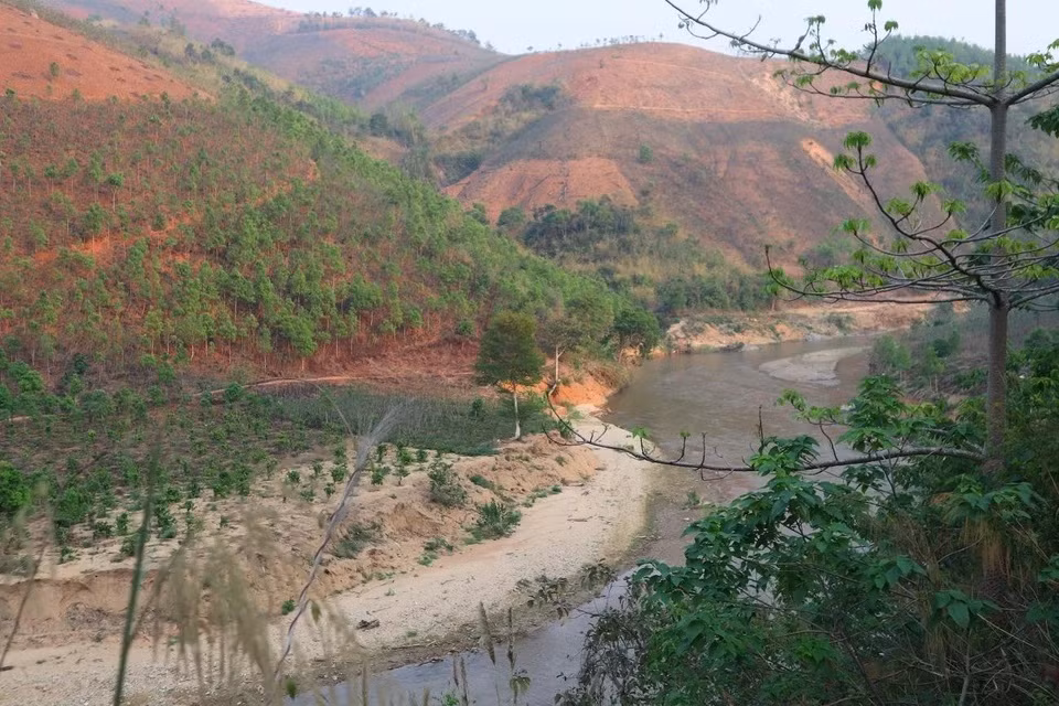 Vietnam tiene 14,86 millones de hectáreas de bosques ảnh 1 Vietnam tiene 14,86 millones de hectáreas de bosques ảnh 1