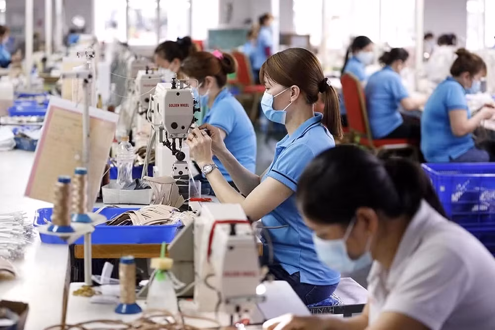 Economía de Vietnam está en camino correcto, según especialistas ảnh 1