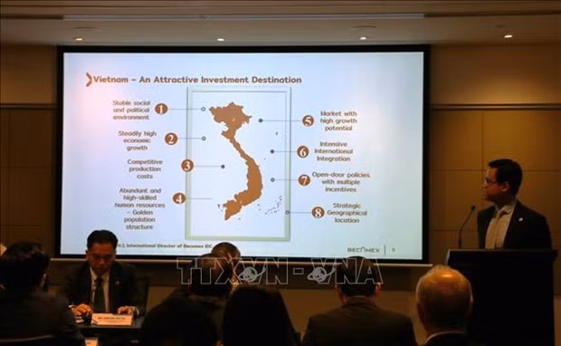 Provincia vietnamita busca oportunidades de cooperación con socios australianos ảnh 1