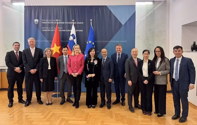 Robustecen vínculos entre Vietnam y Eslovenia ảnh 1