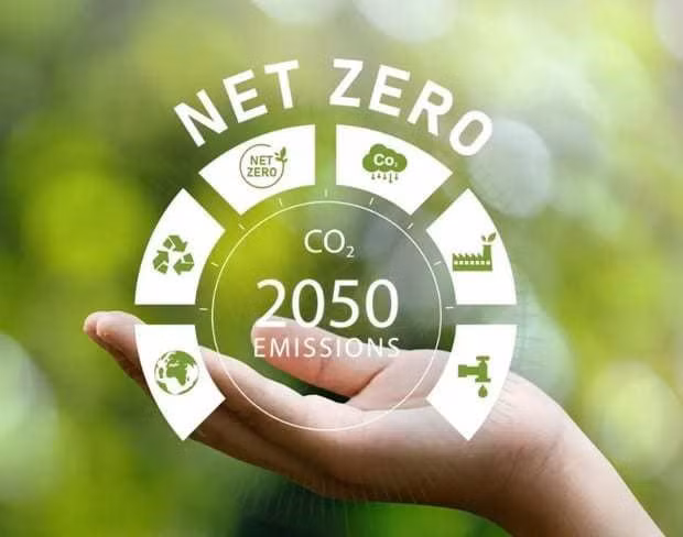 Hora del Planeta 2024: alcanzar objetivo de cero emisiones netas para 2050 ảnh 1