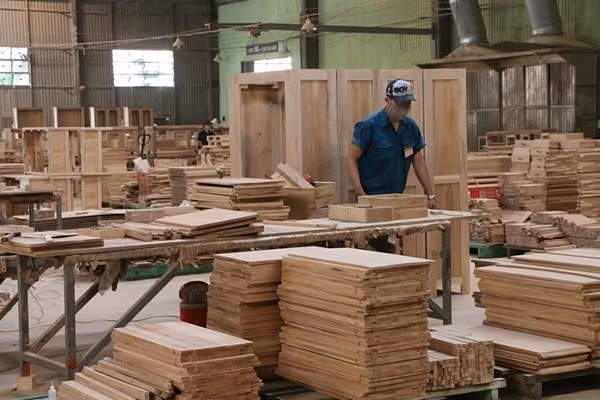 EE.UU. amplía investigaciones sobre armarios de madera procedentes de Vietnam ảnh 1