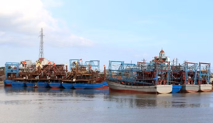 Provincia vietnamita de Nam Dinh intensifica lucha contra pesca ilegal ảnh 1 Provincia vietnamita de Nam Dinh intensifica lucha contra pesca ilegal ảnh 1