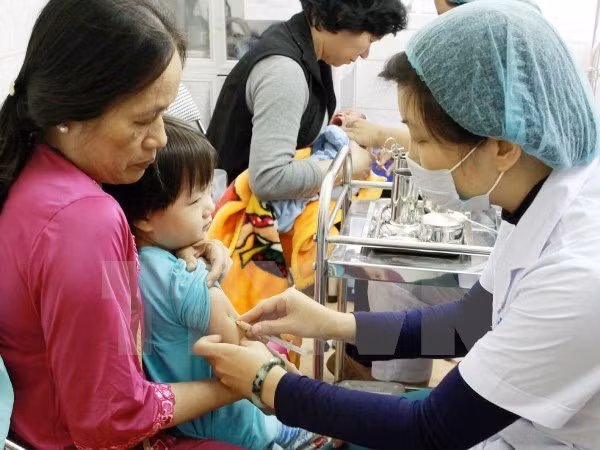 PNUD observa logros vietnamitas en cumplimiento de ODMs ảnh 1