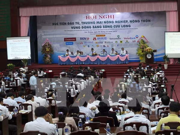 Organizarán foro de cooperación económica en Hau Giang ảnh 1