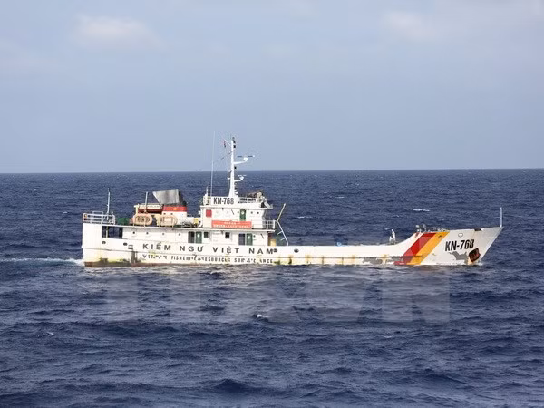  Recibe Vietnam barco auspiciado por Japón ảnh 1