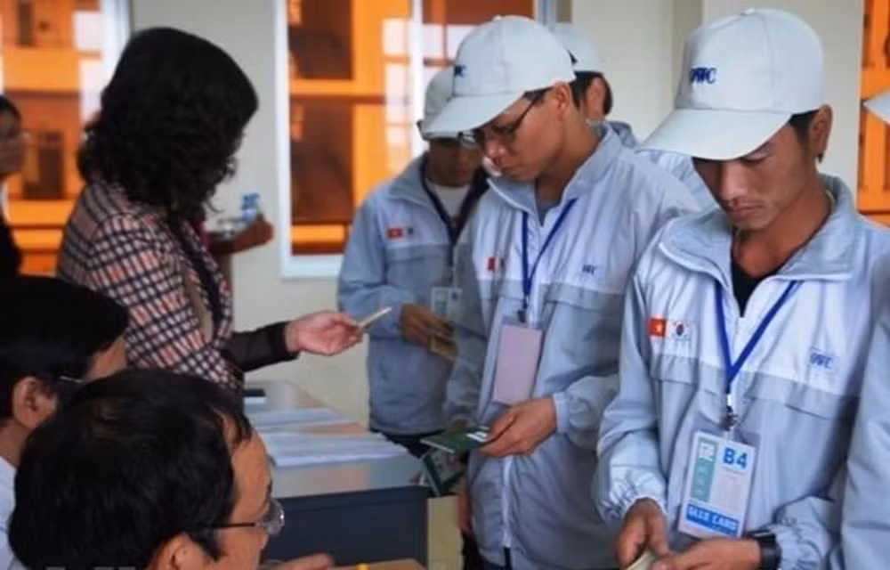 Apoyan migración segura de trabajadores en Vietnam ảnh 1
