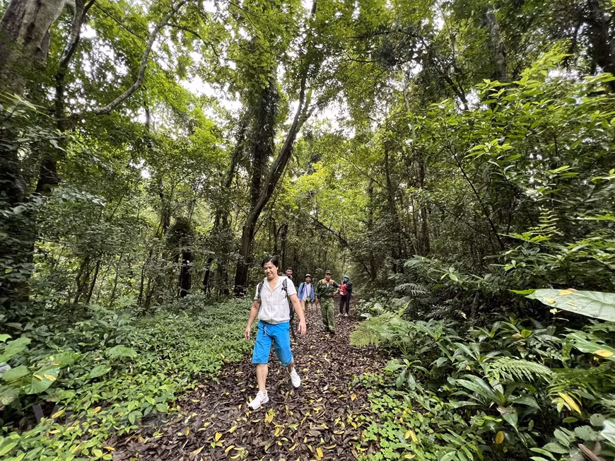 Destinos turísticos atractivos de Vietnam conceden viajes emocionantes ảnh 2