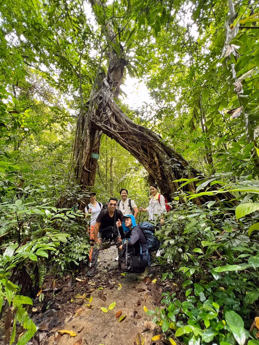Destinos turísticos atractivos de Vietnam conceden viajes emocionantes ảnh 4